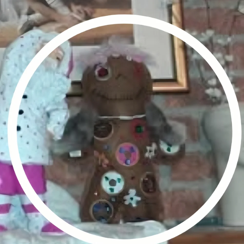 Custom Made Donut Themed Doo Doll approx 15